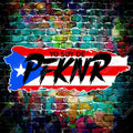 Puerto Rican Flag