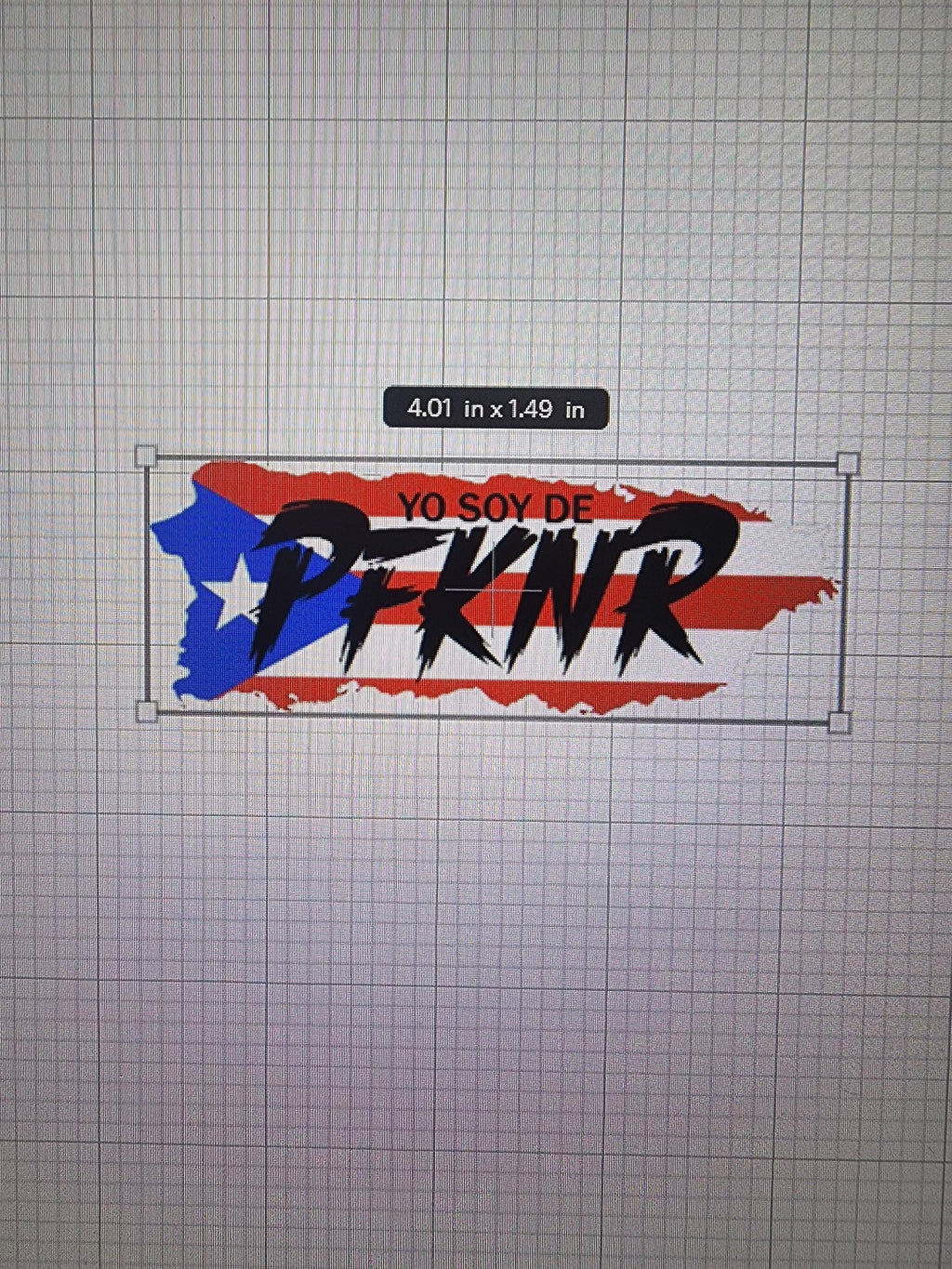 Puerto Rican Flag
