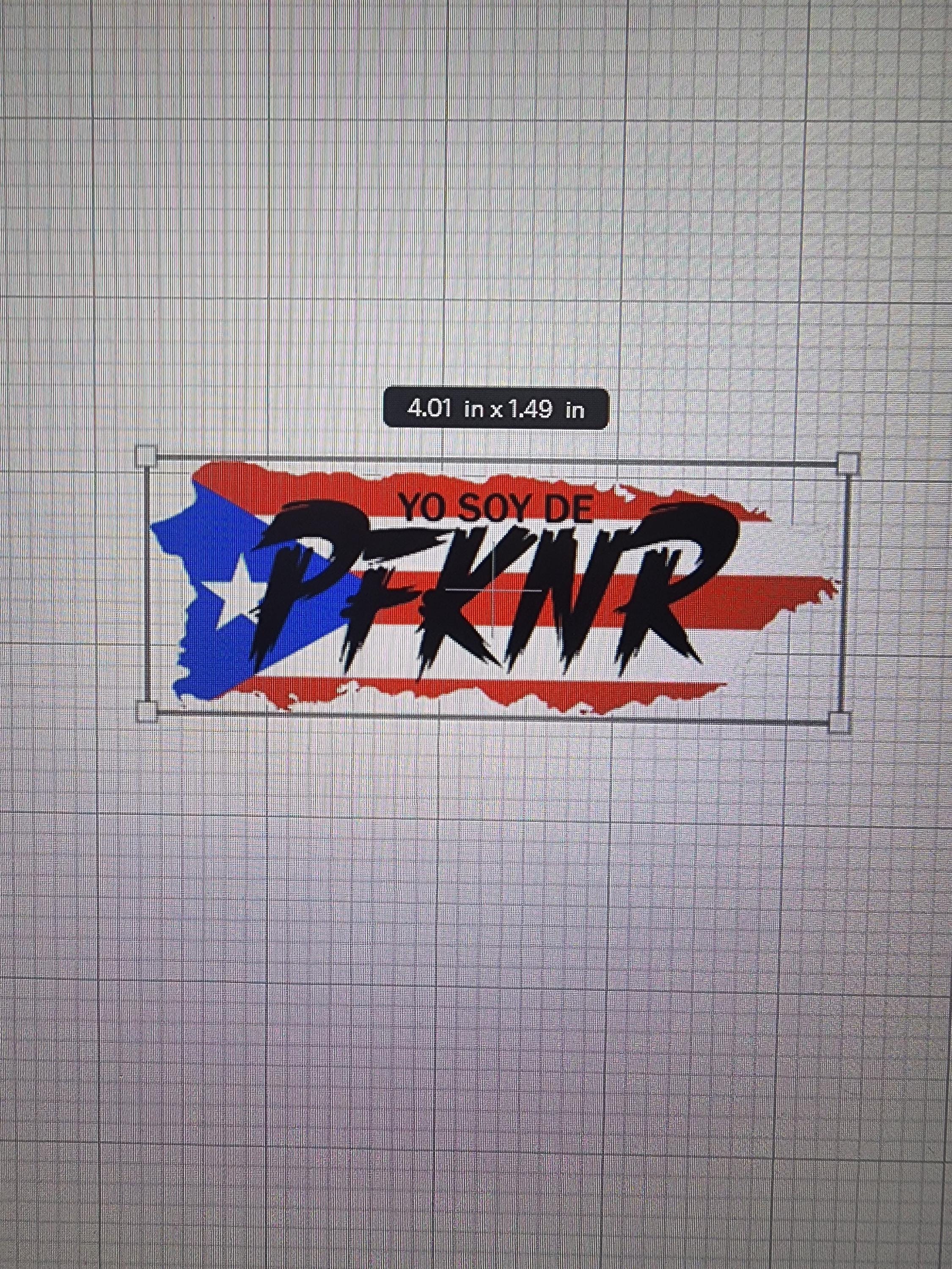 Puerto Rican Flag